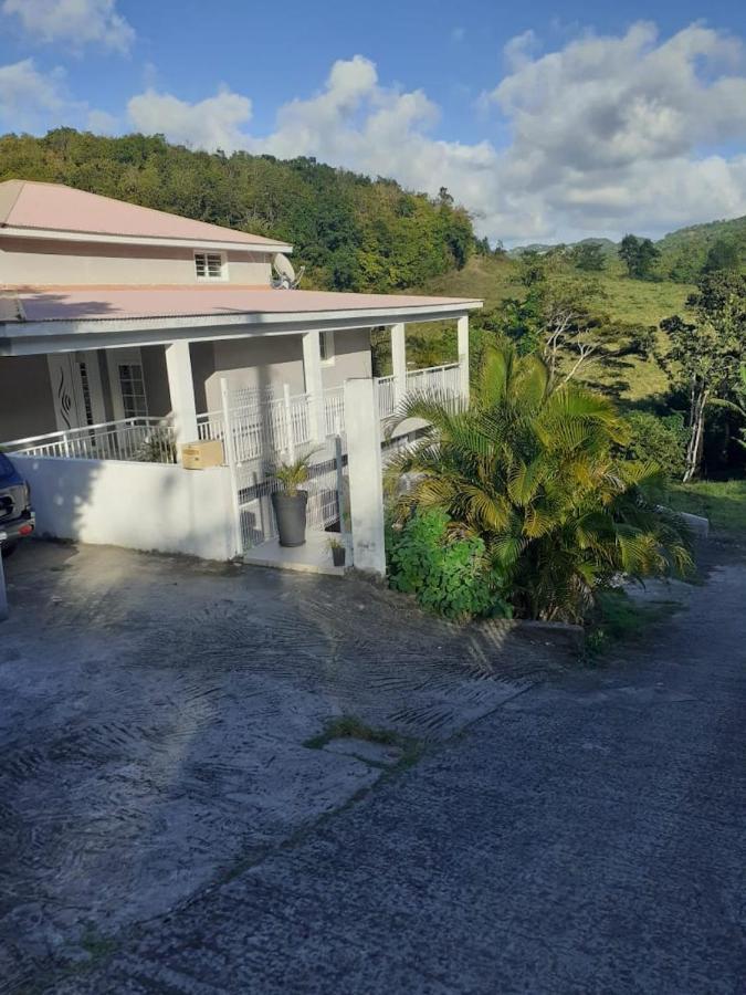 Chez Coco Appartement Balisier Riviere-Salee Exterior photo